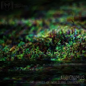 The Effect of World and Environment by Audionimus album cover