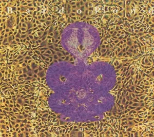 Amanita by Bardo Pond album cover
