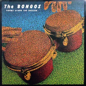 Drums Along the Hudson by The Bongos album cover