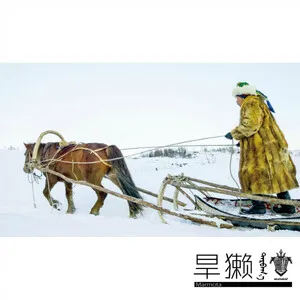 Marmota 旱獭 by Marmot Band 旱獭乐队 album cover