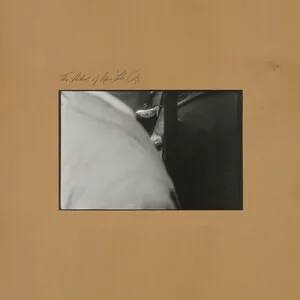 The Arteries of New York City by The Arteries of New York City album cover