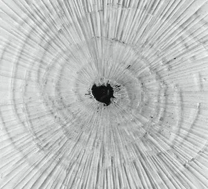 Demiurge by Emptyset album cover