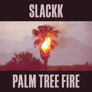 Palm Tree Fire by Slackk album cover