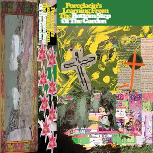 Porcelaein's Learning From the Bottom Step of the Garden by porcelaein album cover