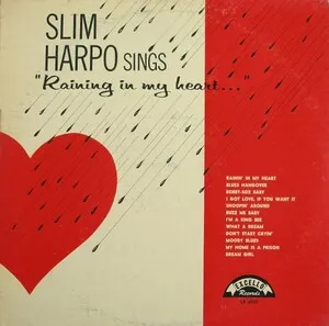 Sings Raining in My Heart