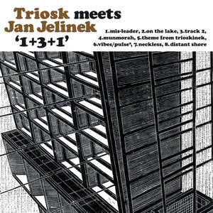 1+3+1 by Triosk & Jan Jelinek album cover