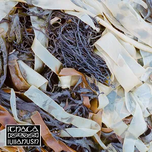 Ithaca by lullahush album cover