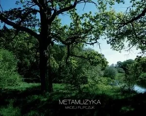 MetaMuzyka