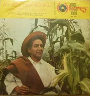 Yo soy Huancaíno by Picaflor de los Andes album cover