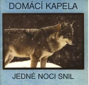 Jedné noci snil by Domácí kapela album cover