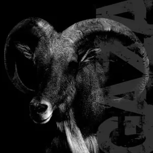 I Don't Care Where I Go When I Die by Gaza album cover