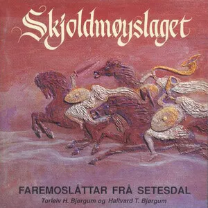 Skjoldmøyslaget by Hallvard T. Bjørgum & Torleiv H. Bjørgum album cover