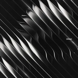 Organ by Dimension album cover