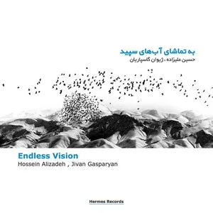 Endless Vision by Hossein Alizadeh حسین علیزاده & Djivan Gasparyan album cover