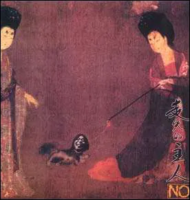 The Missing Master
走失的主人