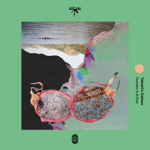 Humans in a Pool by Takeshi's Cashew album cover