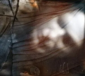 Dor by Din Brad album cover