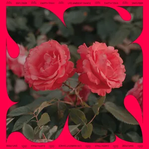 LP2 by Earth Trax album cover