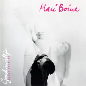 Goaskinviellja / Eagle Brother