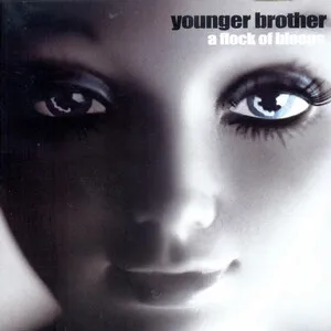 A Flock of Bleeps by Younger Brother album cover