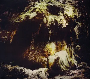 Celestial Lineage by Wolves in the Throne Room album cover