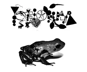 Slime Immersion by Phyllomedusa album cover