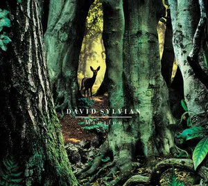 Manafon by David Sylvian album cover