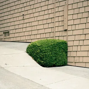 Soft Power by Ezra Feinberg album cover