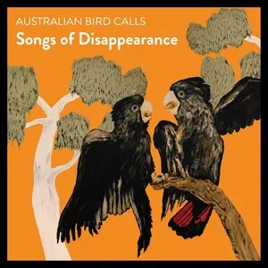 Songs of Disappearance album cover