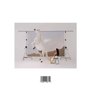 Sanación by María José Llergo album cover