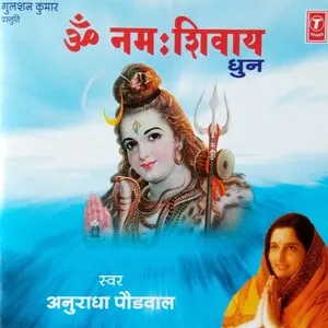 Om Namah Shivay by Anuradha Paudwal album cover