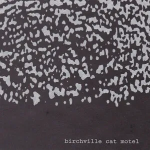 Siberian Earth Curve by Birchville Cat Motel album cover