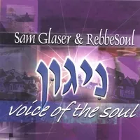 Nigun - Voice of the Soul [with rebbeSoul] by Sam Glaser album cover