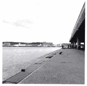 Extract From Field Recordings Archive #1