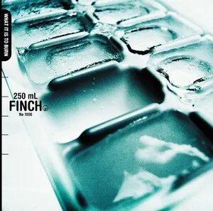 What It Is to Burn by Finch album cover