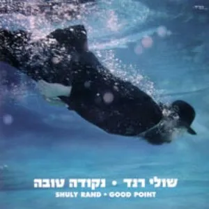 נקודה טובה (Good Point)