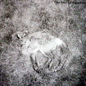 Semtex by The Third Eye Foundation album cover