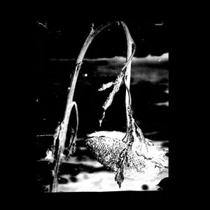 Cleaning the Mirror by Pink Reason album cover