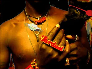 The Inevitable Rise and Liberation of NiggyTardust! by Saul Williams album cover
