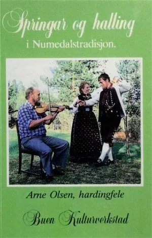 Springar og halling i Numedalstradisjon by Arne Olsen album cover