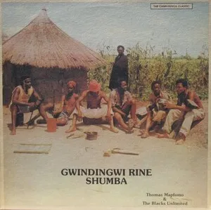Gwindingwi Rine Shumba