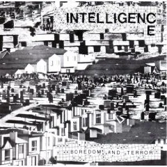 Boredom and Terror by The Intelligence album cover