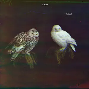 Dungen - Häxan