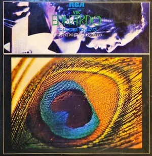 O romance do pavão mysteriozo