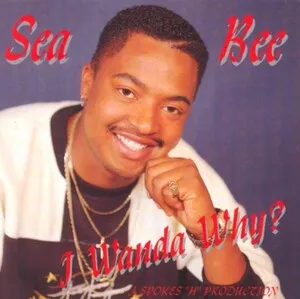 I Wanda Why? by Sea Bee album cover