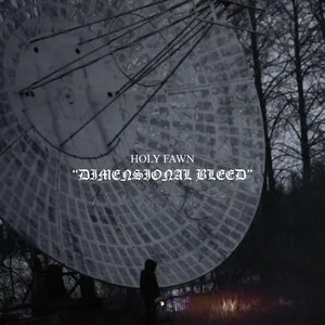 Dimensional Bleed by Holy Fawn album cover