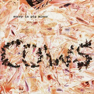 Sorry in Pig Minor by Cows album cover