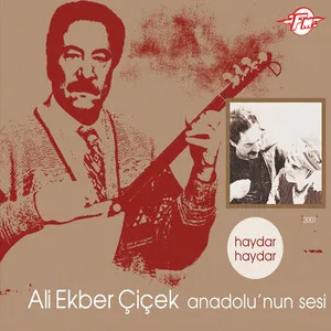 Anadolu'nun Sesi (Haydar Haydar) by Ali Ekber Çiçek album cover