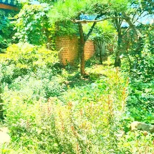 Mydreamfever - Rough and Beautiful Place