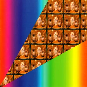 Smarmymob by Neon Hunk album cover